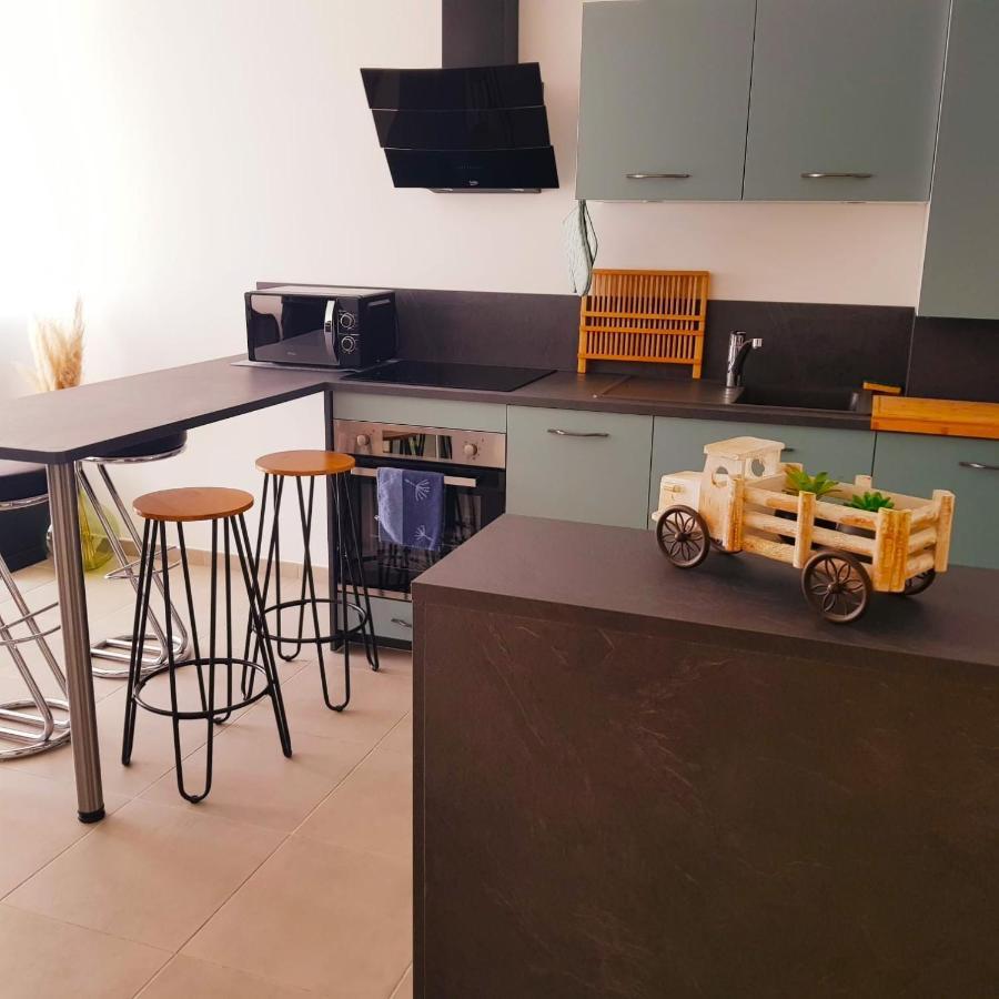 85 Geneve Confortable T2 Avec Parking Prive Annecy Dış mekan fotoğraf